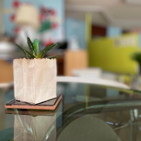 Hotel Aloha チェゼナーティコ エクステリア 写真